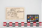 Etikett zu Bronzemelonenarmreif (NHMW-PRAE-026325)